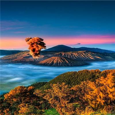 培养标枪2手游下载